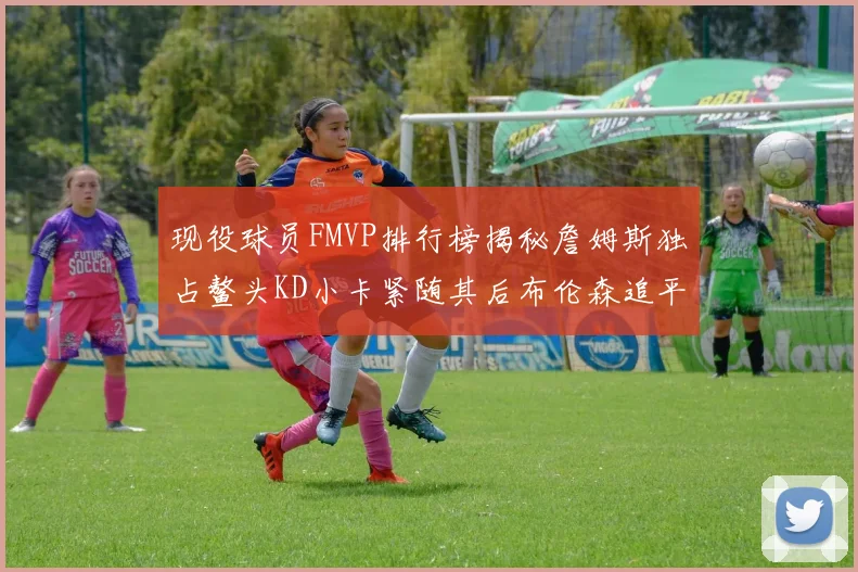 现役球员FMVP排行榜揭秘詹姆斯独占鳌头KD小卡紧随其后布伦森追平库里约基奇等