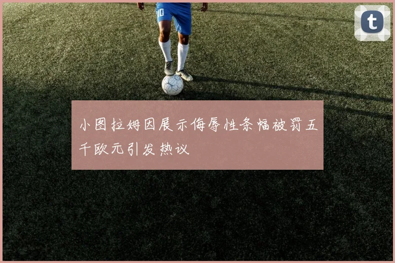 小图拉姆因展示侮辱性条幅被罚五千欧元引发热议